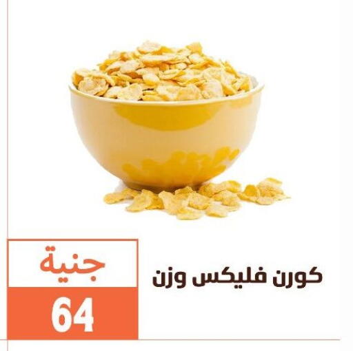 available at Ghallab Market in Egypt - Cairo