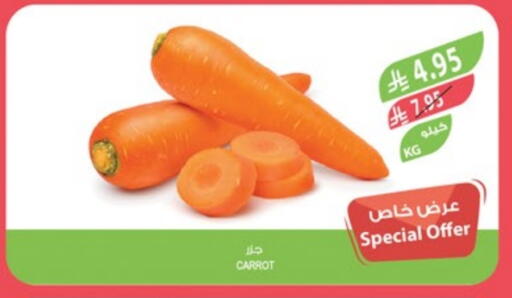 Fresh Vegetables in Farm , Saudi Arabia Offers - Saudi Arabia Carrot available at Farm in KSA, Saudi Arabia, Saudi - Al Bahah