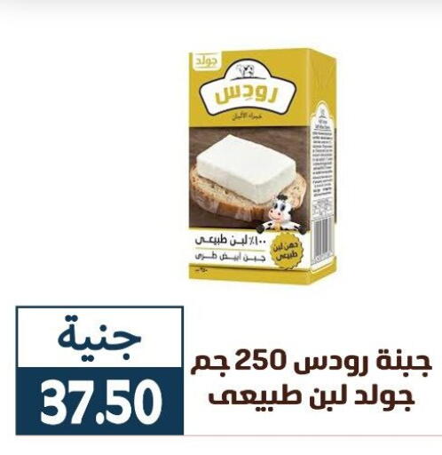 available at Ghallab Market in Egypt - Cairo