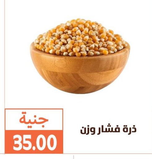 available at Ghallab Market in Egypt - Cairo