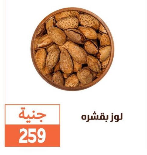 available at Ghallab Market in Egypt - Cairo