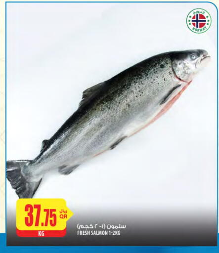 available at شركة الميرة للمواد الاستهلاكية in قطر - الدوحة