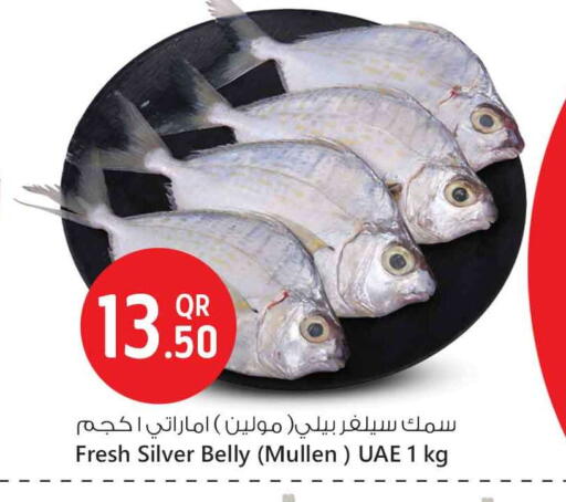 available at Safari Hypermarket in Qatar - Al Daayen