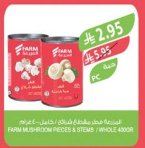 Mushroom available at المزرعة in مملكة العربية السعودية, السعودية, سعودية - أبها