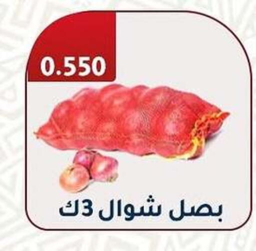 Onion available at Al Fahaheel Co - Op Society in Kuwait - Ahmadi Governorate