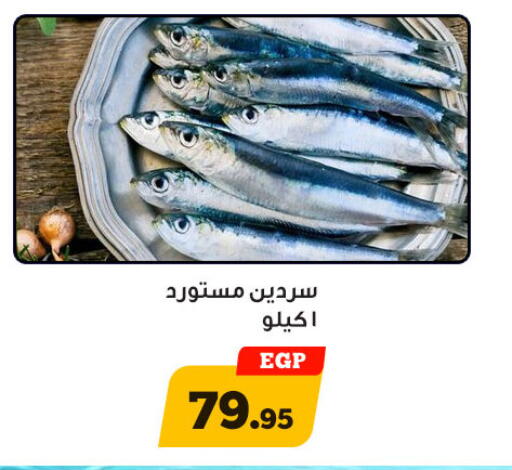 available at أولاد رجب in Egypt - القاهرة