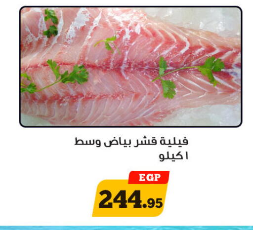 available at أولاد رجب in Egypt - القاهرة