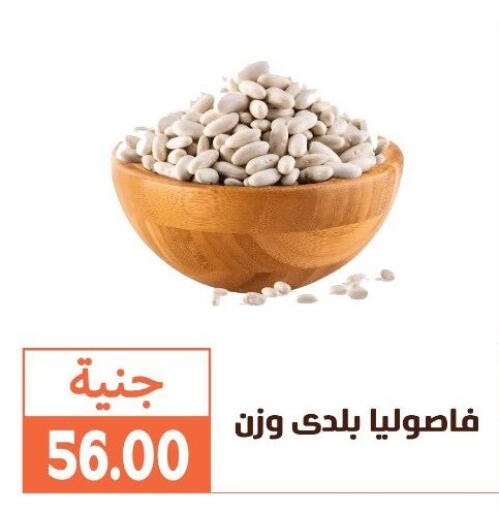 available at Ghallab Market in Egypt - Cairo