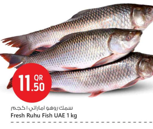 available at Safari Hypermarket in Qatar - Al Daayen