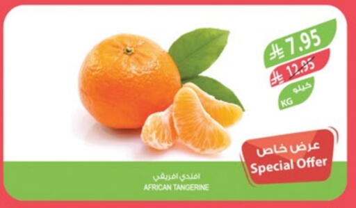 Orange available at Farm  in KSA, Saudi Arabia, Saudi - Al-Kharj
