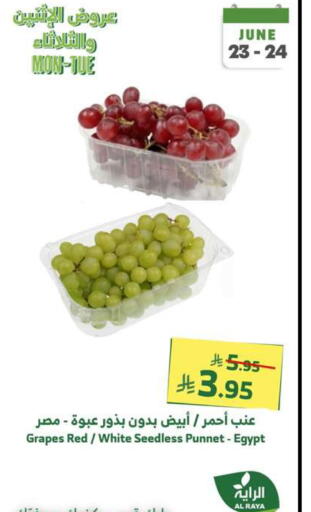 Grapes from Egypt available at Al Raya in KSA, Saudi Arabia, Saudi - Abha