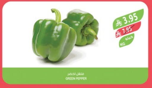 Fresh Vegetables in Farm , Saudi Arabia Offers - Saudi Arabia Chilli / Capsicum available at Farm in KSA, Saudi Arabia, Saudi - Al Bahah