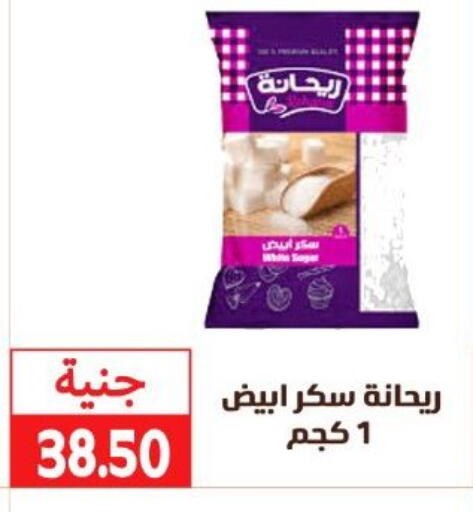 available at سوق غلاب in Egypt - القاهرة