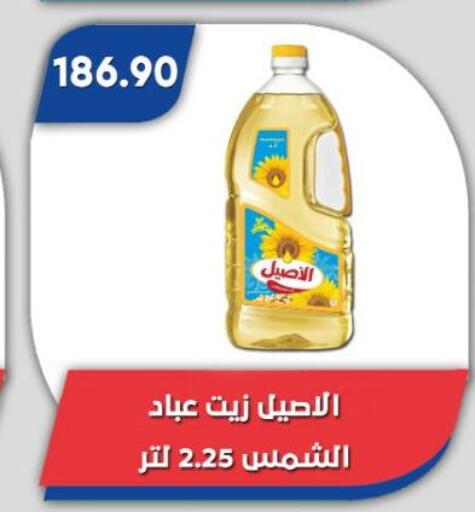 Sunflower Oil available at Bassem Market in Egypt - Cairo