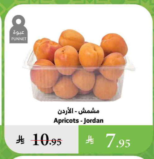 from Jordan available at Al Raya in KSA, Saudi Arabia, Saudi - Najran