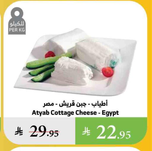 جبنة القريش available at الراية in مملكة العربية السعودية, السعودية, سعودية - القنفذة