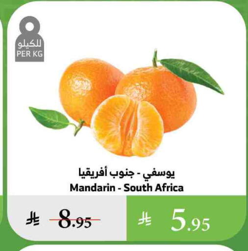 Orange from South Africa available at Al Raya in KSA, Saudi Arabia, Saudi - Jazan