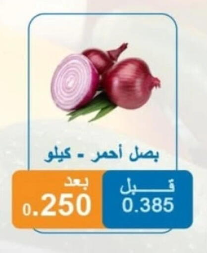 Onion available at Alshuhada co.op in Kuwait - Ahmadi Governorate