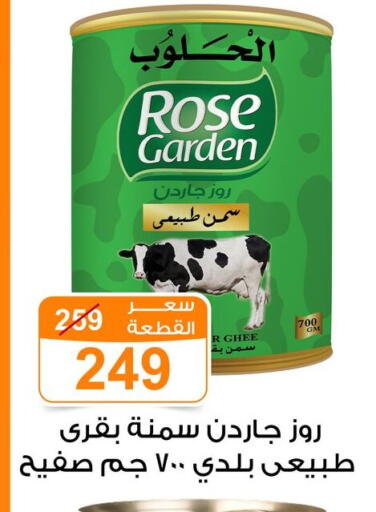 Ghee available at Gomla Market in Egypt - Cairo