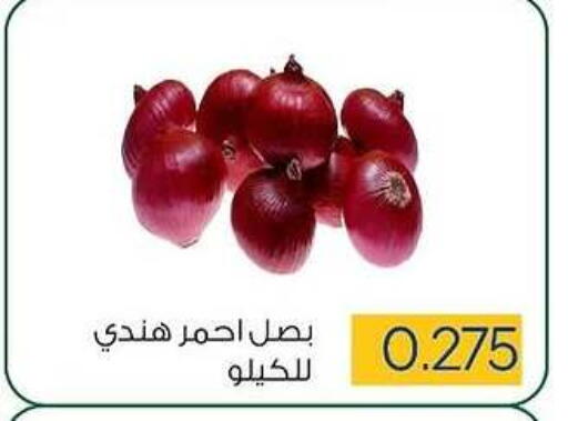 Onion available at Sabah Al Salem Co op in Kuwait - Ahmadi Governorate