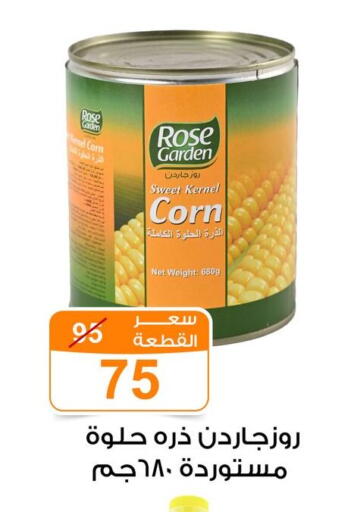 available at Gomla Market in Egypt - Cairo