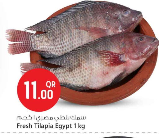 available at Safari Hypermarket in Qatar - Al Rayyan