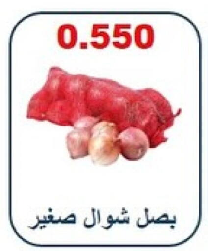 Onion available at Riqqa Co-operative Society in Kuwait - Ahmadi Governorate