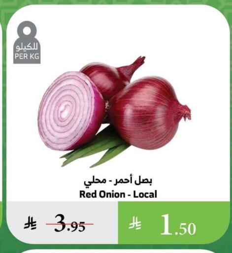 Onion available at Al Raya in KSA, Saudi Arabia, Saudi - Abha