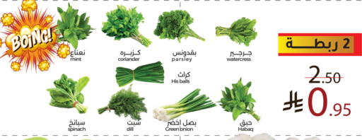 Mint Spinach Coriander Dill Parsley Onion Watercress available at Mira Mart Mall in KSA, Saudi Arabia, Saudi - Jeddah