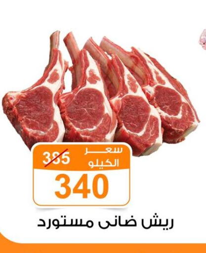 available at جملة ماركت in Egypt - القاهرة
