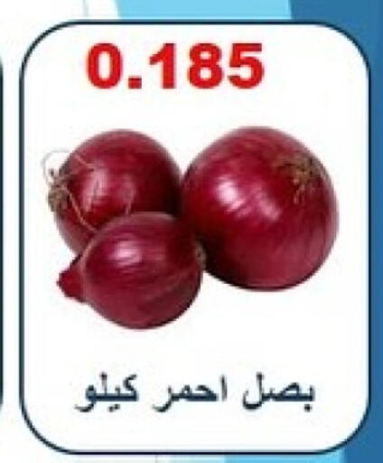 Onion available at Riqqa Co-operative Society in Kuwait - Ahmadi Governorate