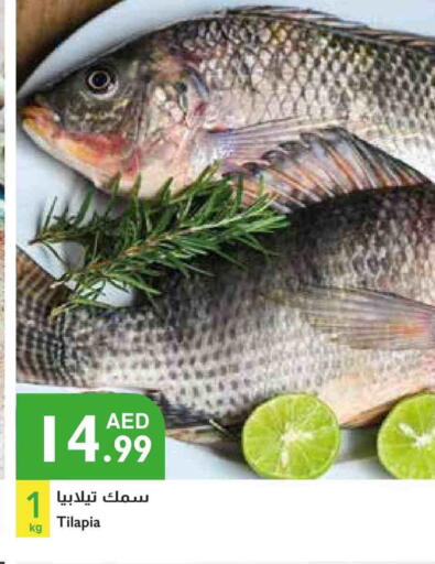available at إسطنبول سوبرماركت in الإمارات العربية المتحدة , الامارات - ٱلْعَيْن‎