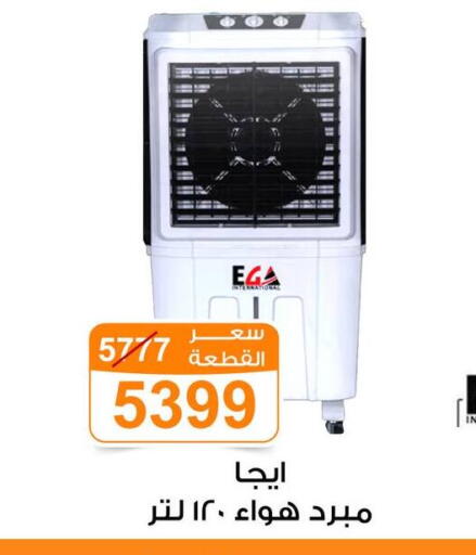 available at Gomla Market in Egypt - Cairo
