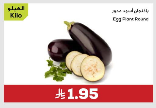 available at Astra Markets in KSA, Saudi Arabia, Saudi - Tabuk