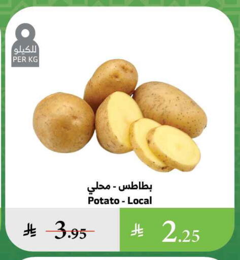 Potato available at Al Raya in KSA, Saudi Arabia, Saudi - Abha