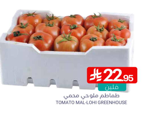 Tomato available at Muntazah Markets in KSA, Saudi Arabia, Saudi - Qatif