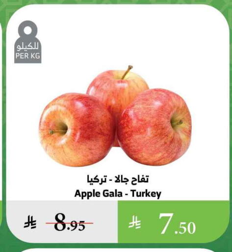 Apples from Turkey available at Al Raya in KSA, Saudi Arabia, Saudi - Al Qunfudhah