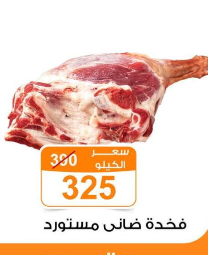 available at جملة ماركت in Egypt - القاهرة