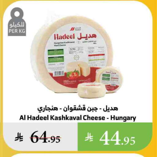 available at Al Raya in KSA, Saudi Arabia, Saudi - Al Qunfudhah