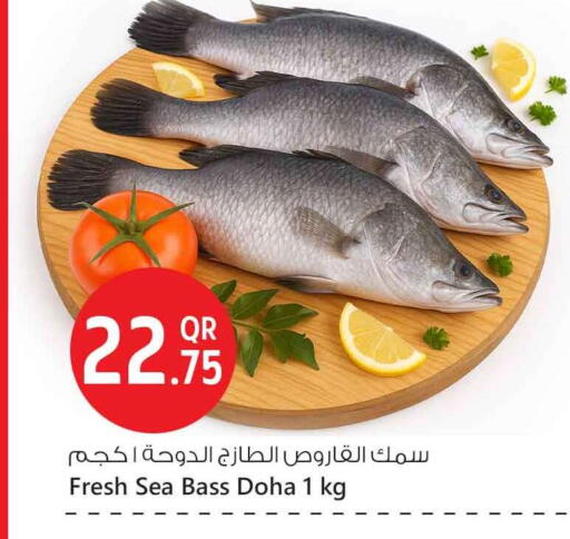 available at Safari Hypermarket in Qatar - Al Rayyan