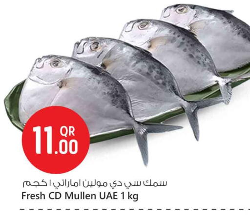 available at Safari Hypermarket in Qatar - Al Rayyan