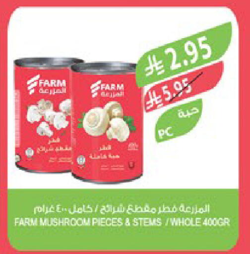 Mushroom available at المزرعة in مملكة العربية السعودية, السعودية, سعودية - عرعر