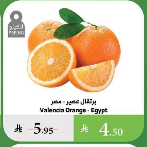 Orange from Egypt available at Al Raya in KSA, Saudi Arabia, Saudi - Jazan