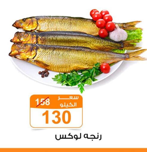 available at جملة ماركت in Egypt - القاهرة