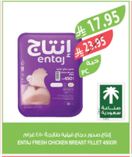 Chicken Breast available at Farm  in KSA, Saudi Arabia, Saudi - Arar
