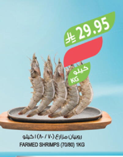 available at Farm  in KSA, Saudi Arabia, Saudi - Abha