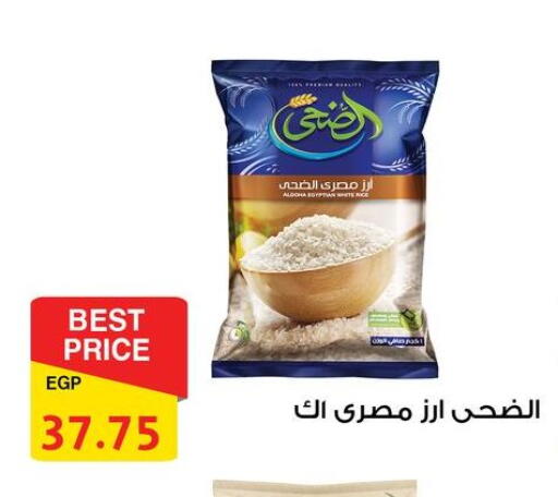 Calrose Rice available at Fathalla Market  in Egypt - Cairo