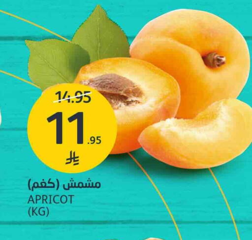 Apricot available at AlJazera Shopping Center in KSA, Saudi Arabia, Saudi - Riyadh