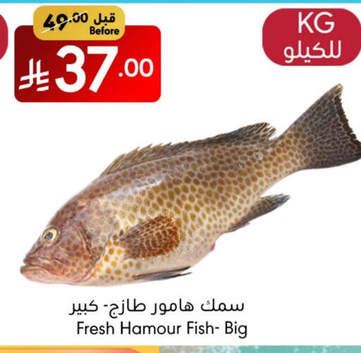 available at Manuel Market in KSA, Saudi Arabia, Saudi - Jeddah