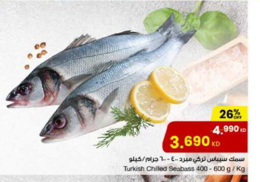 available at مركز سلطان in الكويت - محافظة الجهراء